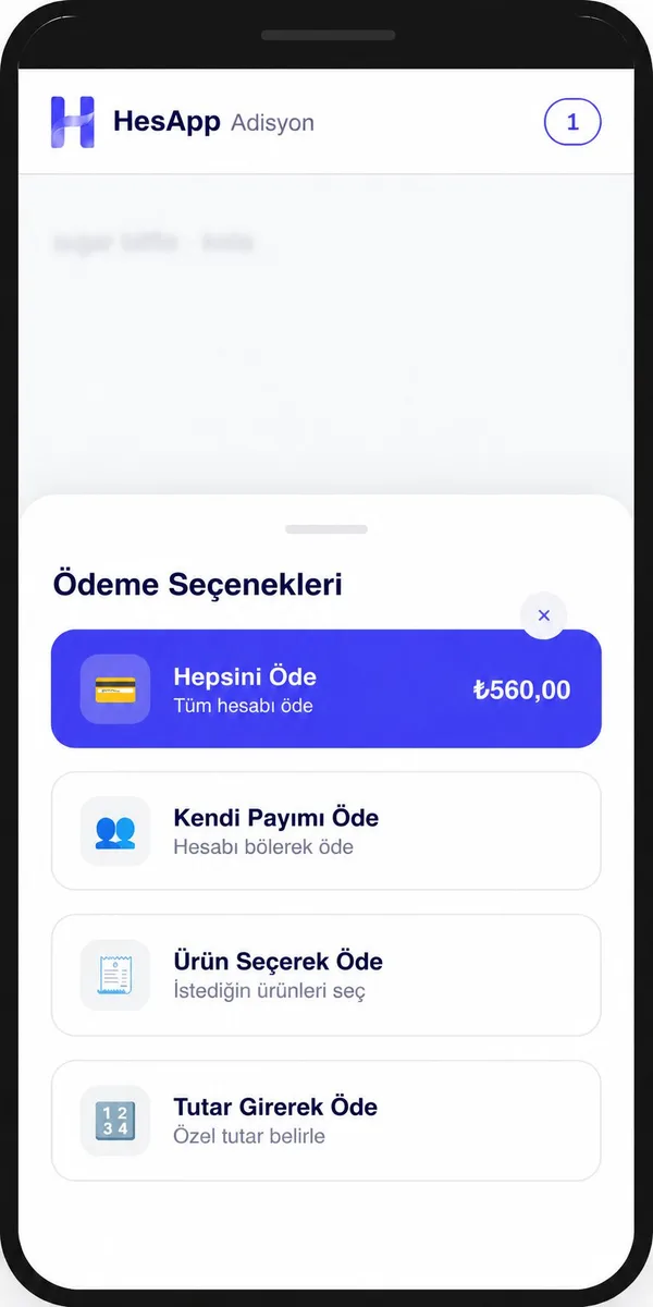 HesApp ödeme seçenekleri: tam ödeme, bölüşüm ve özel tutar.
